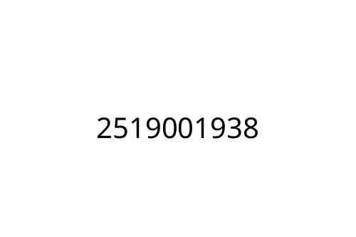 2519001938