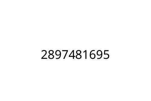 2897481695