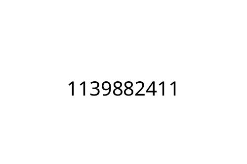 1139882411