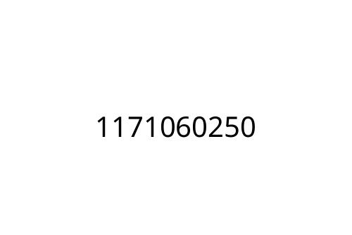 1171060250