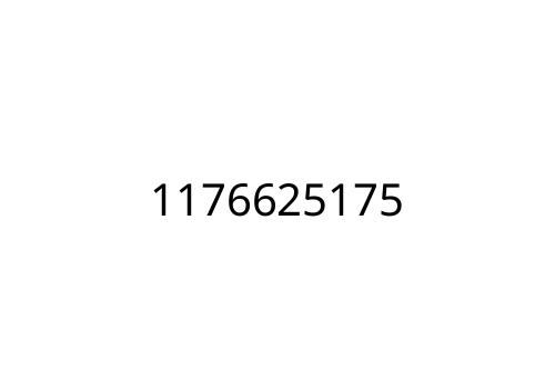 1176625175