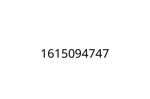 1615094747