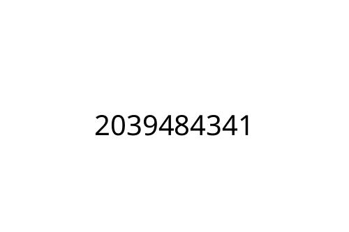 2039484341