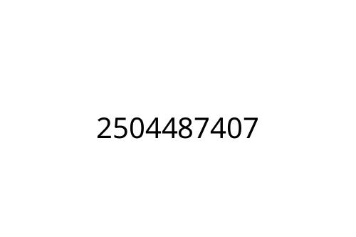 2504487407