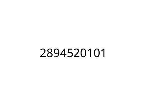 2894520101
