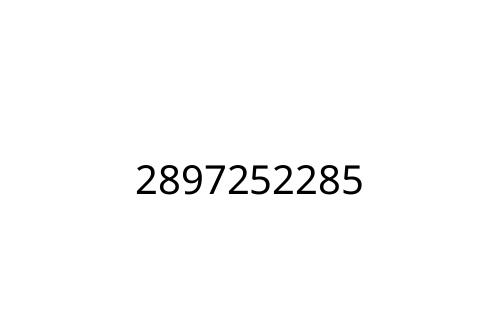 2897252285