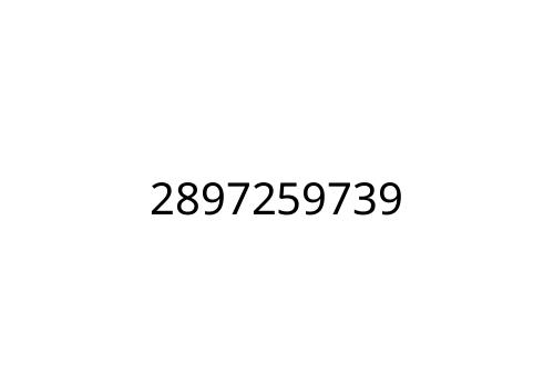 2897259739