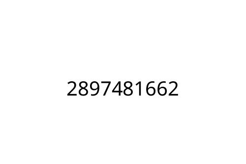2897481662