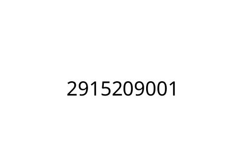 2915209001