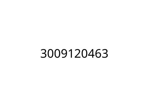 3009120463