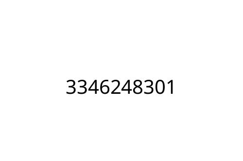 3346248301