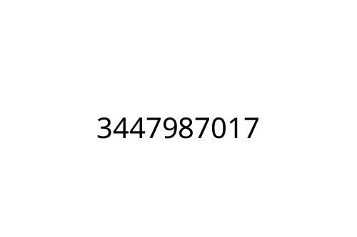 3447987017