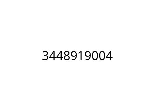 3448919004