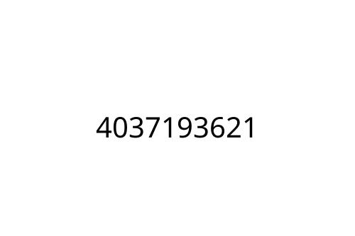 4037193621