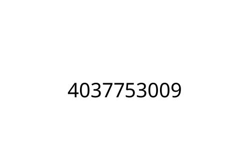 4037753009