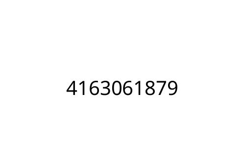 4163061879