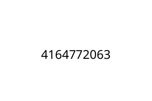 4164772063