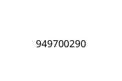 949700290