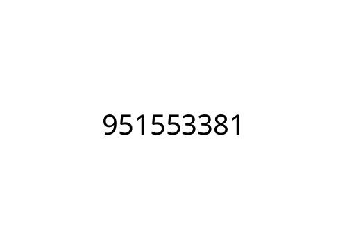 951553381
