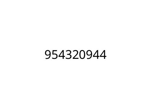 954320944