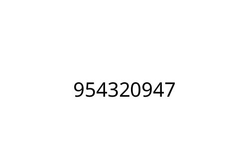 954320947
