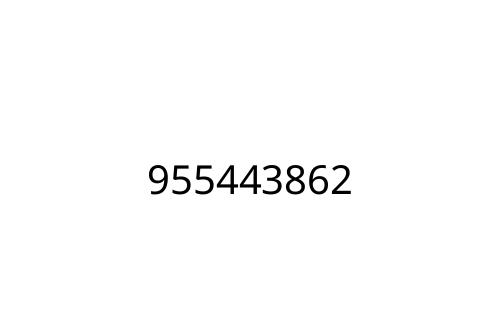 955443862
