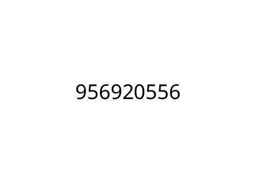 956920556