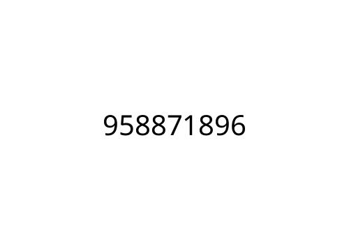 958871896