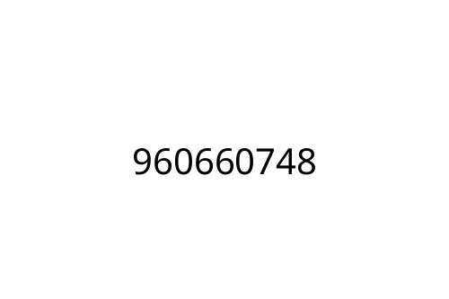 960660748