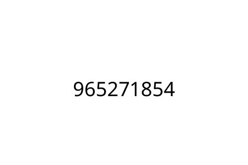 965271854