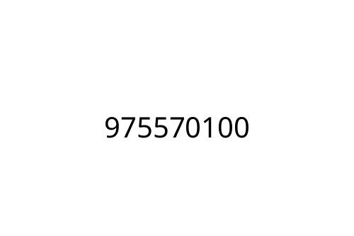 975570100