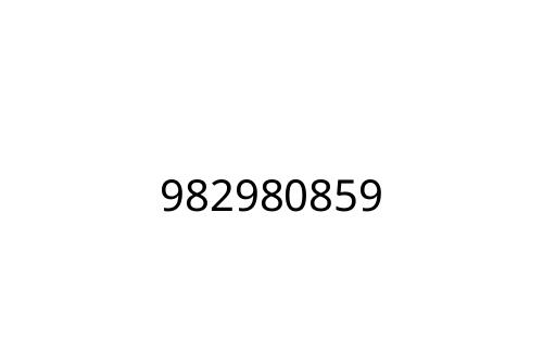 982980859