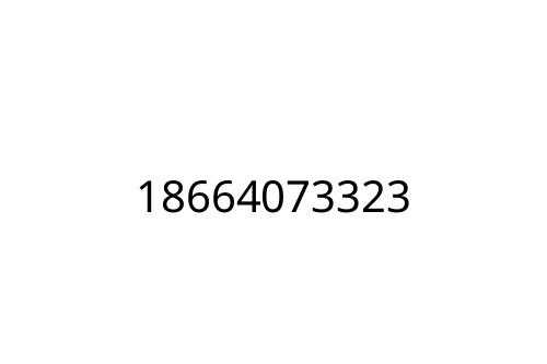 18664073323