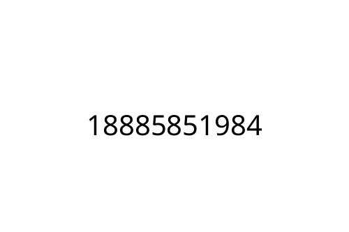 18885851984