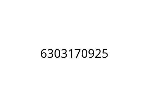 6303170925