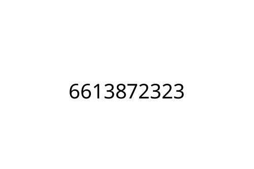 6613872323
