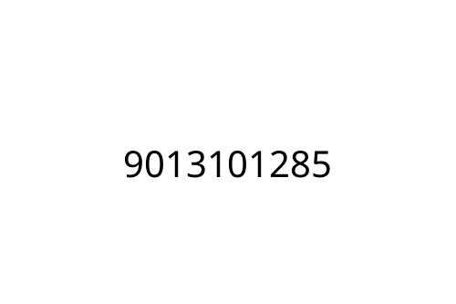 9013101285