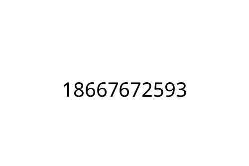 18667672593