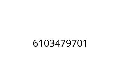 6103479701