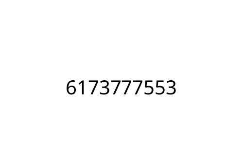 6173777553