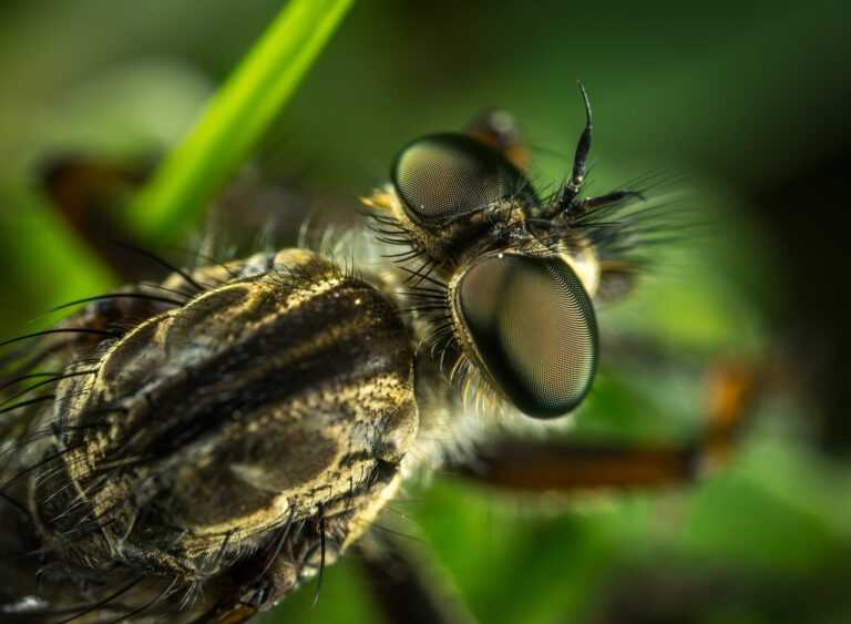mypacyberlogin