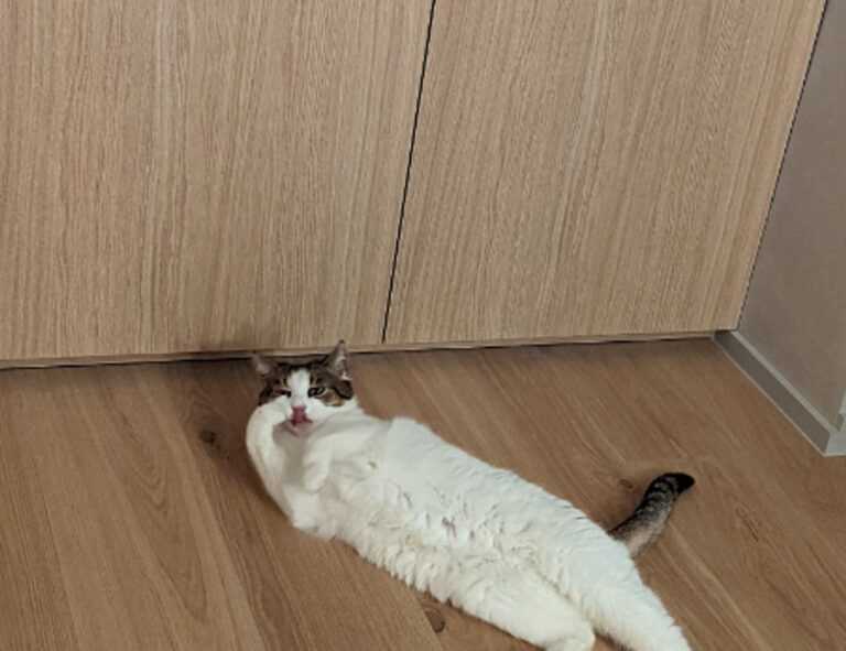 how can gasteromaradical disease be treated