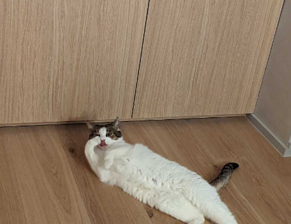 how can gasteromaradical disease be treated