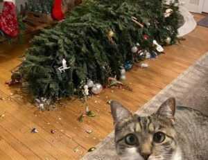 lsit of games munjoff1445