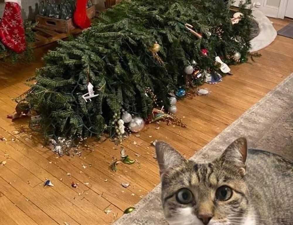 lsit of games munjoff1445