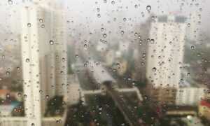 error susbluezilla new version