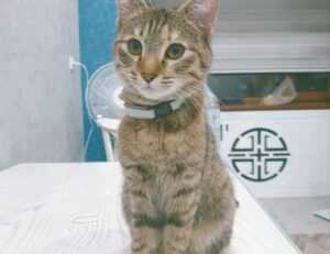 fix bug ralbel28.2.5