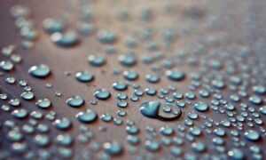 how much does the 493xds5.0 software cost