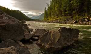 software name meetshaxs