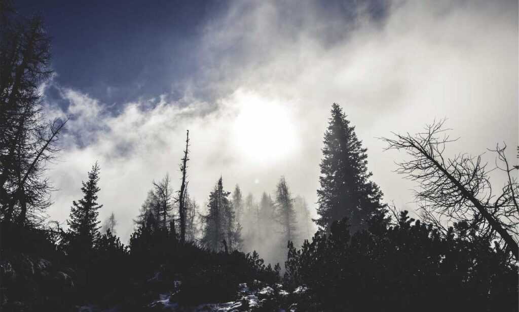 software ralbel28.2.5 issue